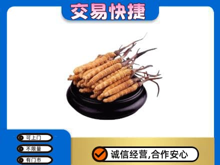 福州回收冬虫夏草多少钱每克